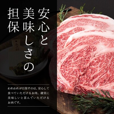 鳥取和牛特上赤身ステーキ 3枚(計400g)牛肉 やまのおかげ屋 KF1496 1155