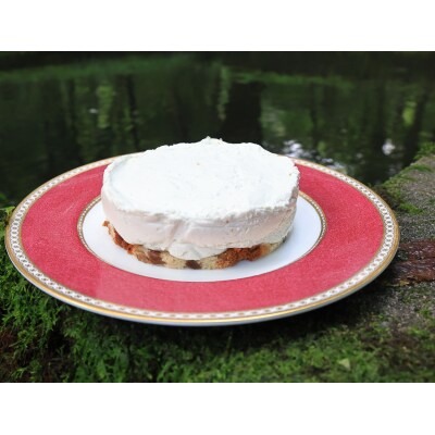 OKUDAISEN　Bleu ～ブルーチーズのレアチーズケーキ～ 1ホール ビストロノブ ミシュラン