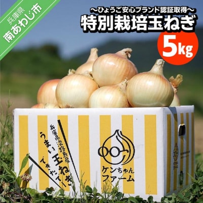 ＼うまい玉ねぎできたでー/ ケンちゃんファームの特別栽培玉ねぎ5kg ～ひょうご安心ブランド認証取得