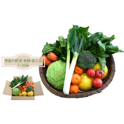 はちきんの店 野菜セット(7~10品) 野菜詰め合わせ  佐川町の野菜 旬の野菜 