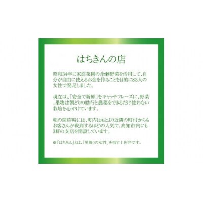 はちきんの店 野菜セット(7~10品) 野菜詰め合わせ  佐川町の野菜 旬の野菜 