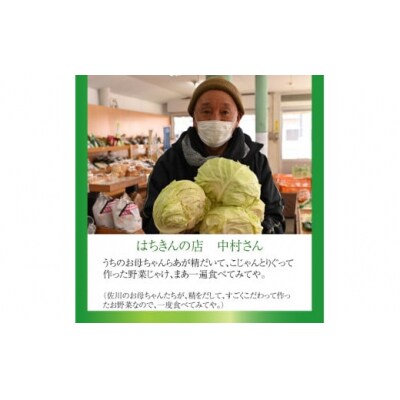 はちきんの店 野菜セット(7~10品) 野菜詰め合わせ  佐川町の野菜 旬の野菜 