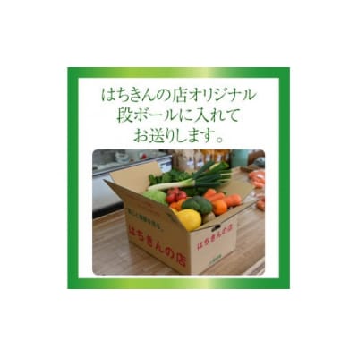 はちきんの店 野菜セット(7~10品) 野菜詰め合わせ  佐川町の野菜 旬の野菜 