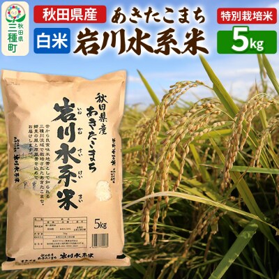 【白米】あきたこまち 岩川水系米 5kg 令和6年産|05_aye-010101