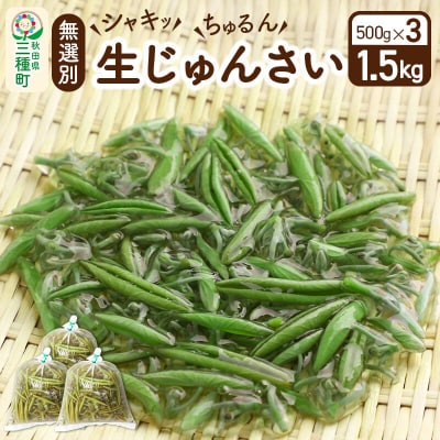 生じゅんさい無選別 1.5kg(500g×3袋)《冷蔵》|05_jsy-040301