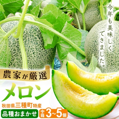 三種町特産 品種お任せ メロン 詰合せ 中箱 3～5個|05_dfc-020101