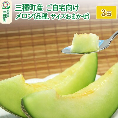 三種町産 ご自宅向け メロン(品種、サイズおまかせ) 3個|05_jsy-090301 | ふるさと納税のお礼品