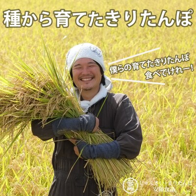 きりたんぽ鍋セット 3人前|05_adf-100301