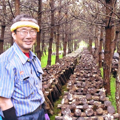 秋田県産 原木生椎茸(600～650g)産地直送|05_htk-011601