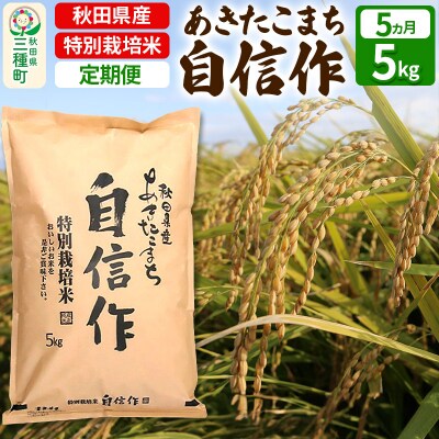 【白米】あきたこまち 自信作 5kg×5回 令和6年産|05_aye-020105
