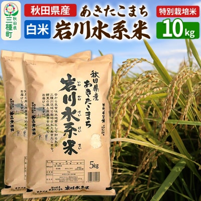 【白米】あきたこまち 岩川水系米 10kg令和7年産|05_aye-010201