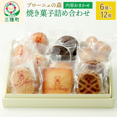 内容おまかせ!焼き菓子詰め合わせ 12個入り|05_bnm-020101