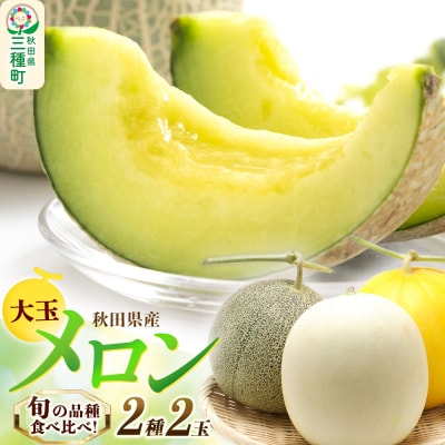 旬のメロン 大玉 2種類 2玉 果物 フルーツ 秋田県産|05_mld-010101