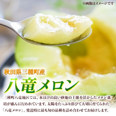 旬のメロン 大玉 2種類 2玉 果物 フルーツ 秋田県産|05_mld-010101