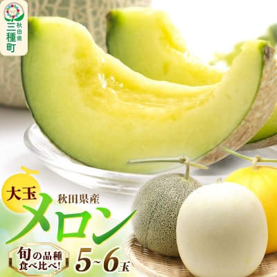 旬のメロン詰合せ 大箱 5玉～6玉 果物 フルーツ 秋田県産|05_mld-020101