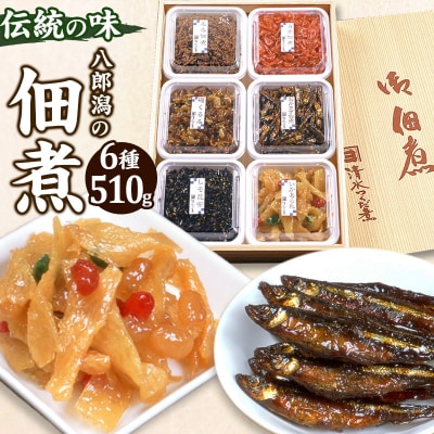 つくだ煮 六種詰合せ 510g 伝統の味 八郎潟の佃煮|05_smz-040101