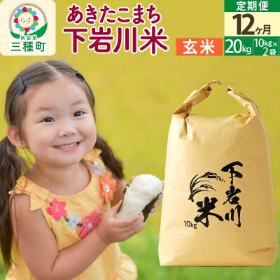 【R8年産 新米受付】《12ヶ月定期便》【玄米】あきたこまち 20kg|05_sik-022012
