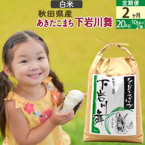 《2ヶ月定期便》【白米】三種町産 あきたこまち  (10kg×2袋) |05_sik-012002