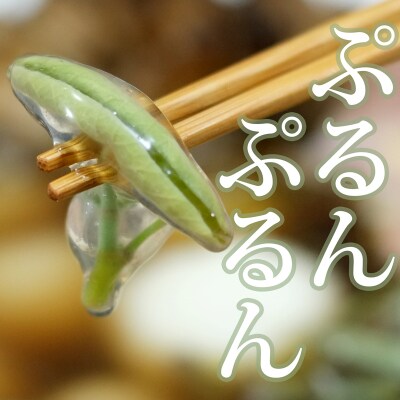 生じゅんさい鍋 5人前《冷蔵》|05_adf-060501