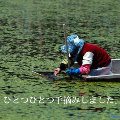 生じゅんさい1kg ゆずタレ4個《冷蔵》2027年産   三種町産|05_adf-010101
