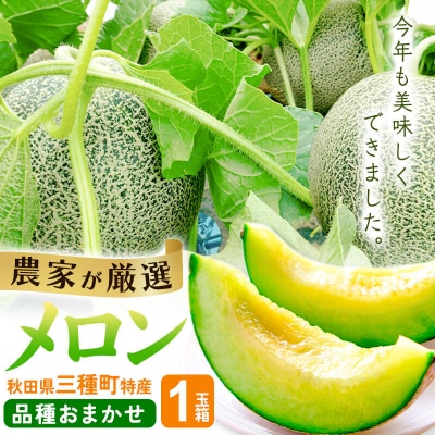 三種町特産 品種お任せ メロン 1玉箱(品種お任せ)|05_dfc-040101
