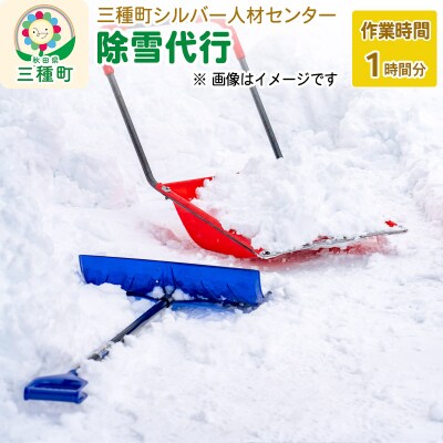 除雪代行サービス(1時間分)※チケット等の発送はありません。|05_msz-030101