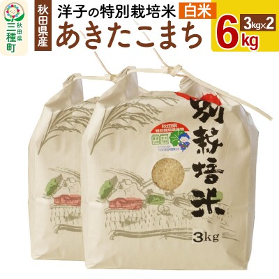 ★xx★特別栽培米 6kg 一等米 【白米】 令和4年産|00_xxx-000000