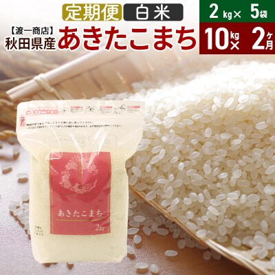 《定期便2ヶ月》 あきたこまち 白米 10kg 秋田県産 令和5年産|05_wti-011002