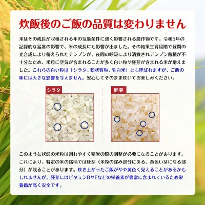 【白米】あきたこまち 10kg 秋田県 |05_kml-011001