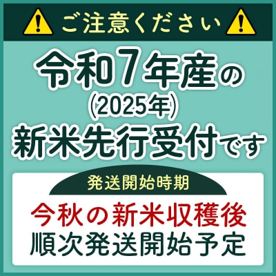 新米先行受付【無洗米】あきたこまち 5kg|05_kml-030501s