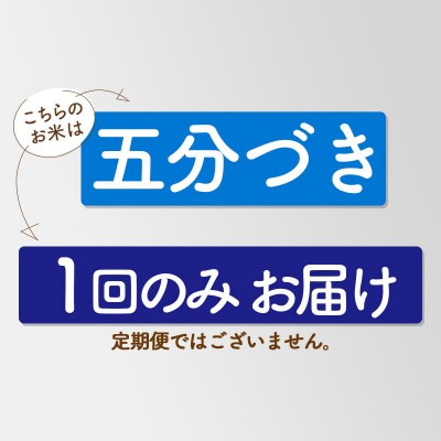 新米先行受付【5分搗き】あきたこまち 10kg|05_kml-061001s