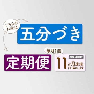 《定期便11ヶ月》新米先行受付【5分搗き】あきたこまち 10kg|05_kml-061011s