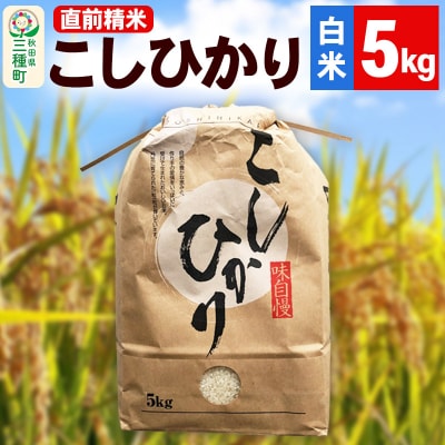 《新米》【精米】こしひかり 5kg(5kg×1袋)|05_krn-010501