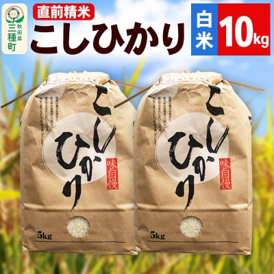 《新米》【精米】こしひかり 10kg(5kg×2袋)|05_krn-011001