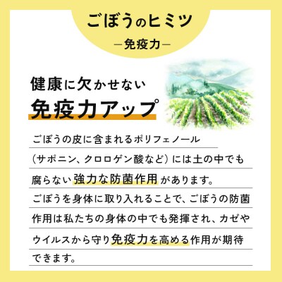 三種町産スッキリゴボウチャ ティーパック (1.5g×10包×20袋)|05_srk-142001