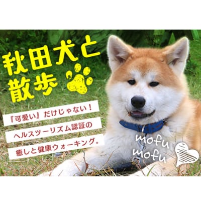 秋田犬と散歩利用券【大人1人】|05_hkd-040101