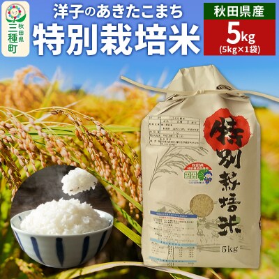 洋子の あきたこまち 特別栽培米 5kg【白米】 令和6年産|05_jsy-410501