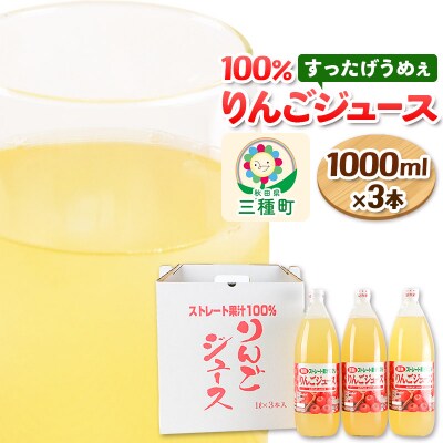りんごジュース 1,000ml×3本 果汁100% ストレート|05_jsy-130301