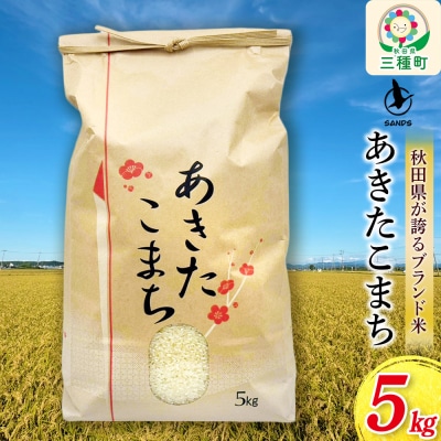 白米 あきたこまち 5kg 秋田県産 令和7年産 Sands|05_snd-010501