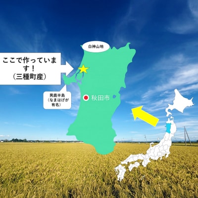 白米 あきたこまち 5kg 秋田県産 令和7年産 Sands|05_snd-010501