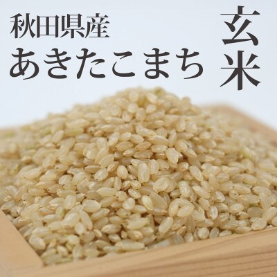 《令和8年産 新米》あきたこまち 10kg×6回 玄米|05_adf-082906s