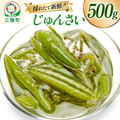 じゅんさい 500g 秋田県山本郡三種町産|05_std-020501
