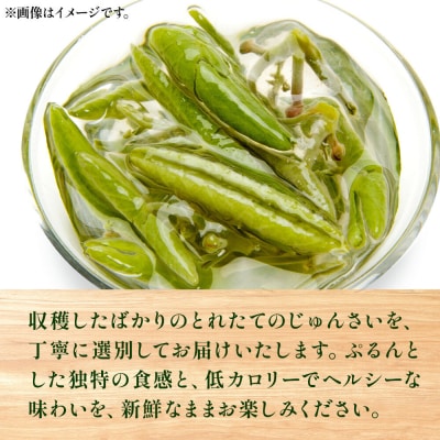 じゅんさい 500g 秋田県山本郡三種町産|05_std-020501
