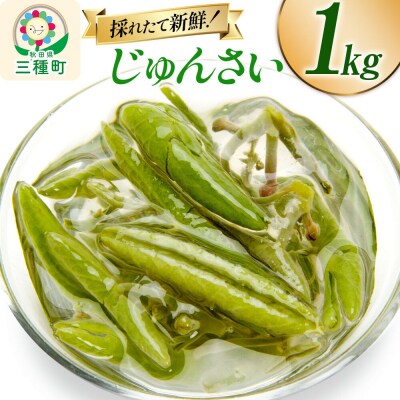 じゅんさい 1kg 秋田県山本郡三種町産|05_std-021001