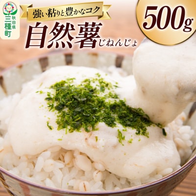 自然薯 500g 秋田県山本郡三種町産 山芋|05_std-030501
