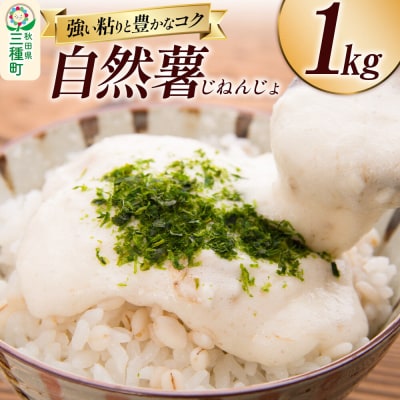 自然薯 1kg 秋田県山本郡三種町産 山芋|05_std-031001
