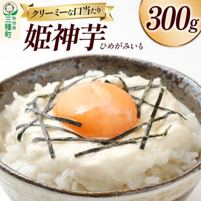 姫神芋 300g 秋田県山本郡三種町産 長芋|05_std-040301