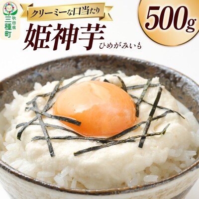 姫神芋 500g 秋田県山本郡三種町産 長芋|05_std-040501