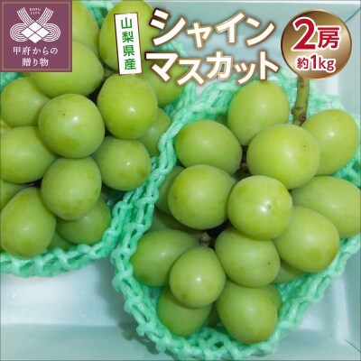 【2024年配送分】シャインマスカット 2房 1.0kg