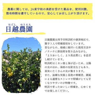日越農園 愛媛県明浜産 太田ポンカン 5kg